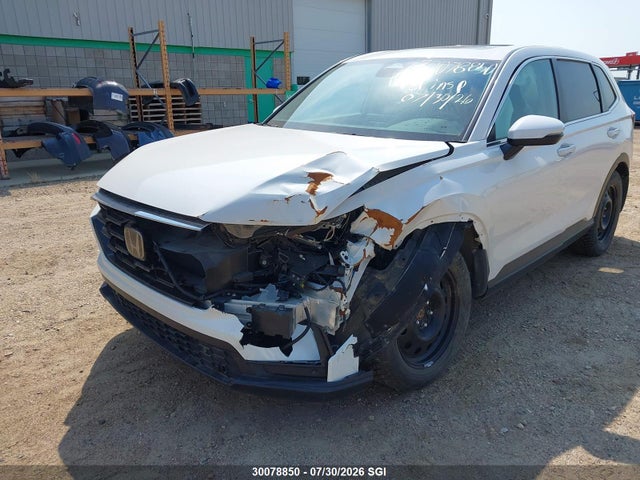 2HKRS4H70RH109388 Honda CR-V EXL