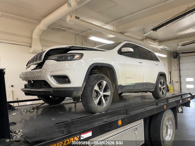 Jeep Cherokee Limited 2019 1C4PJMDX7KD177800 Image 2