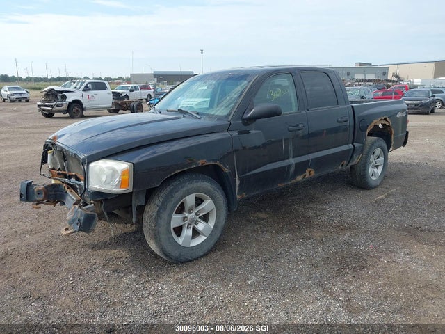 Продаж на аукціоні авто 2007 Dodge Dakota Quad Slt, vin: 1D7HW48P77S151433, номер лоту: 30096003