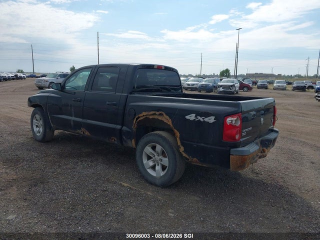 Продаж на аукціоні авто 2007 Dodge Dakota Quad Slt, vin: 1D7HW48P77S151433, номер лоту: 30096003