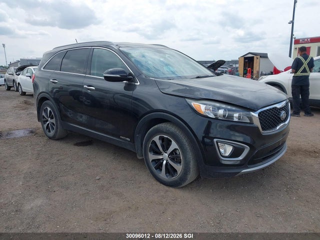 Auction sale of the 2016 Kia Sorento, vin: 5XYPHDA53GG028176, lot number: 30096012