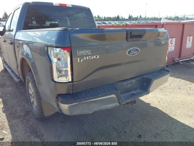 Ford F150 Supercrew 2016 1FTEW1E85GFD45055 Image 6