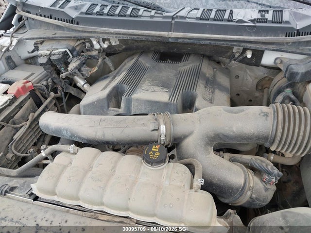 Auction sale of the 2019 Ford F-150 Lariat, vin: 1FTFW1E48KKE01300, lot number: 30095709