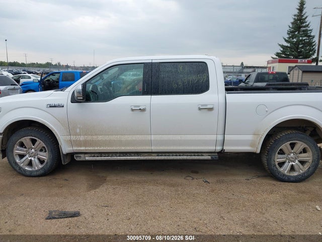 Auction sale of the 2019 Ford F-150 Lariat, vin: 1FTFW1E48KKE01300, lot number: 30095709