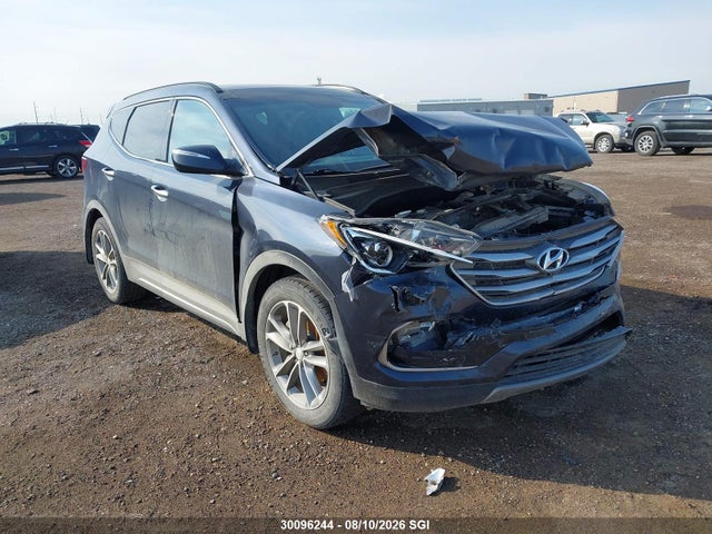 Auction sale of the 2017 Hyundai Santa Fe Sport, vin: 5NMZUDLA1HH049310, lot number: 30096244
