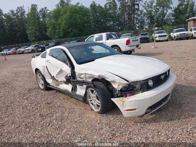 Auction sale of the 2010 Ford Mustang Gt, vin: 1ZVBP8CH2A5103538, lot number: 30095155
