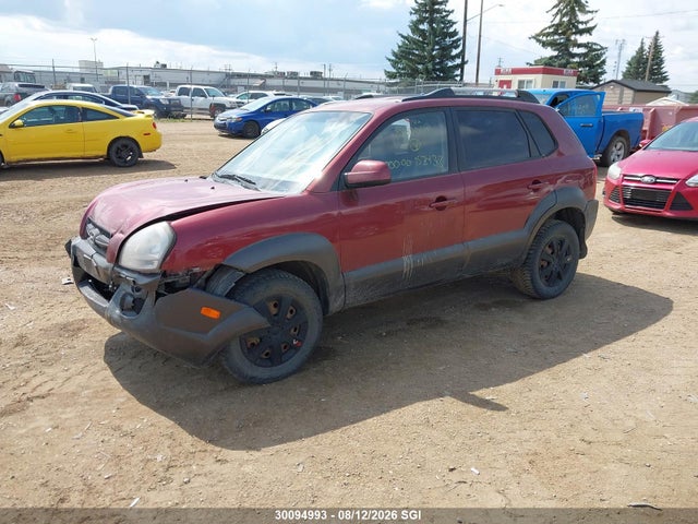 2007 Hyundai Tucson მანქანა იყიდება აუქციონზე, vin: KM8JM12D17U550014, აუქციონის ნომერი: 30094993