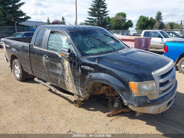 2013 Ford F-150 Fx4/lariat/stx/xl/xlt მანქანა იყიდება აუქციონზე, vin: 1FTFX1EFXDFC00475, აუქციონის ნომერი: 30095783