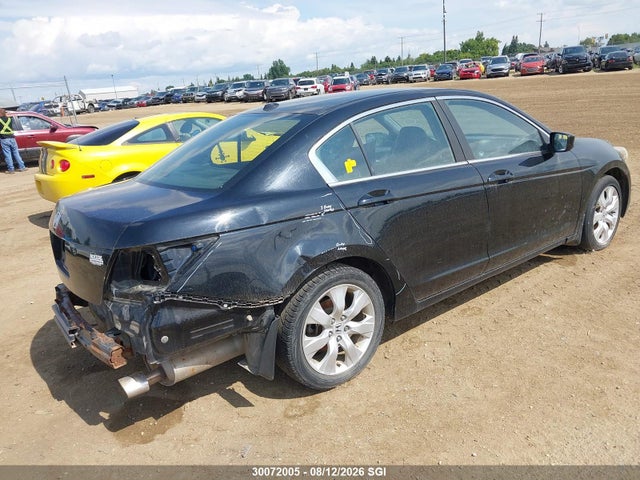 30072005 :رقم المزاد ، 1HGCP2F82AA800443 vin ، 2010 Honda Accord Exl مزاد بيع