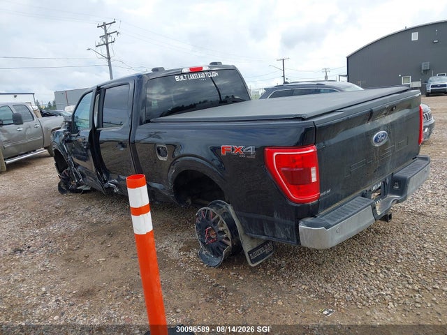 Ford F150 Supercrew 2023 1FTFW1E53PKF44820 Image 3