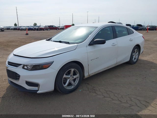 30096632 :رقم المزاد ، 1G1ZB5STXHF143562 vin ، 2017 Chevrolet Malibu Ls مزاد بيع