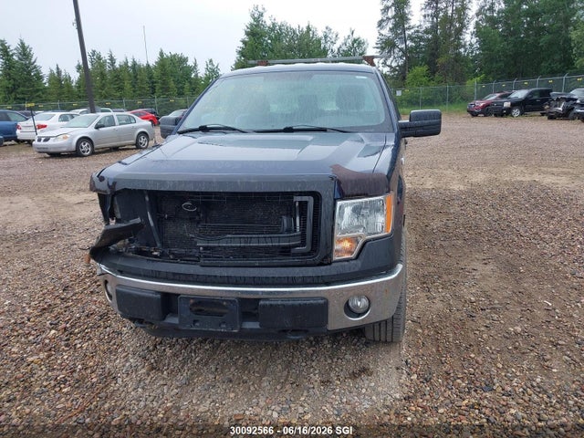 Продажа на аукционе авто 2013 Ford F150, vin: 1FTNF1EF2DKE79295, номер лота: 30092566
