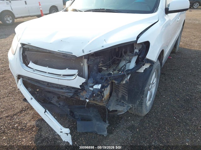 Aukcja sprzedaży 2010 Hyundai Santa Fe Gls, vin: 5NMSGDAG5AH417378, numer aukcji: 30096898