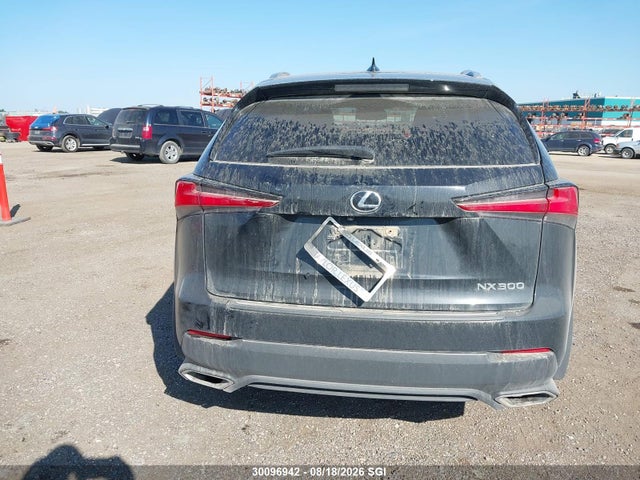 Продаж на аукціоні авто 2021 Lexus Nx 300 Base/300 Luxury/300 F Sport, vin: JTJGARDZ1M5030221, номер лоту: 30096942