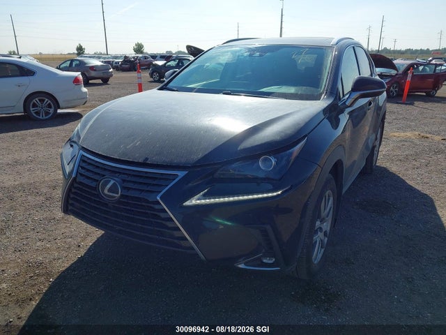 Продаж на аукціоні авто 2021 Lexus Nx 300 Base/300 Luxury/300 F Sport, vin: JTJGARDZ1M5030221, номер лоту: 30096942