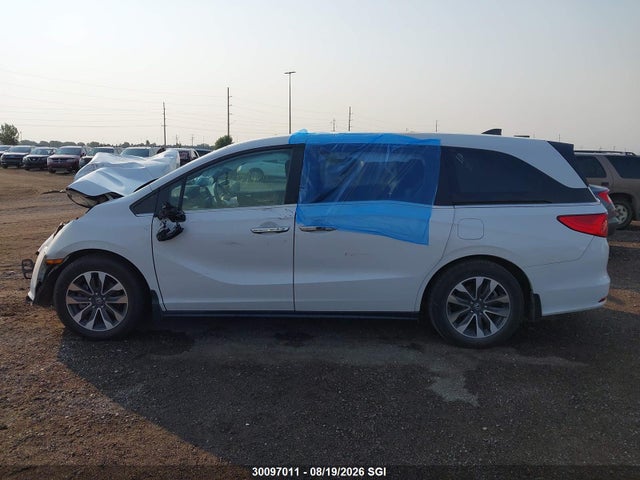 Aukcja sprzedaży 2023 Honda Odyssey Exl, vin: 5FNRL6H63PB503396, numer aukcji: 30097011