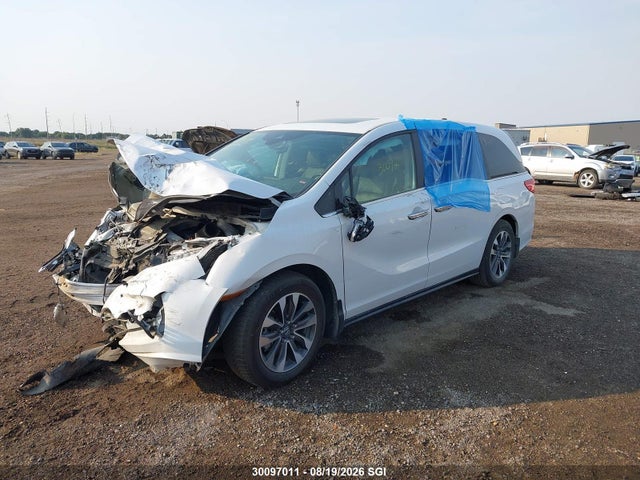 Aukcja sprzedaży 2023 Honda Odyssey Exl, vin: 5FNRL6H63PB503396, numer aukcji: 30097011