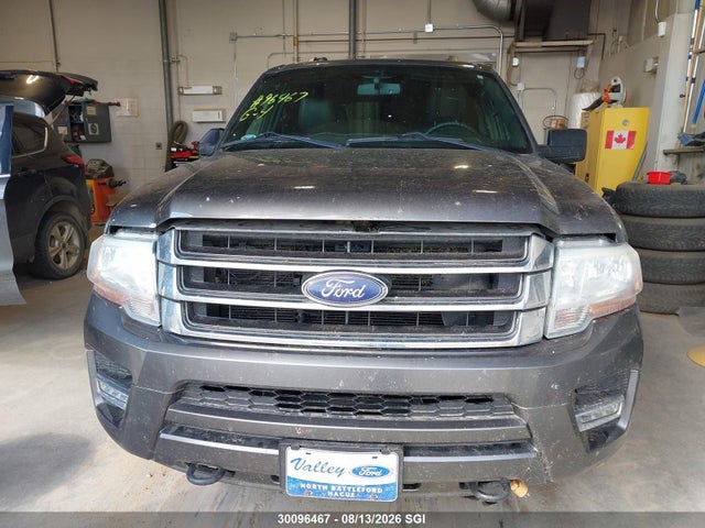 Продажа на аукционе авто 2016 Ford Expedition Xlt/king Ranch, vin: 1FMJU1JT1GEF16142, номер лота: 30096467