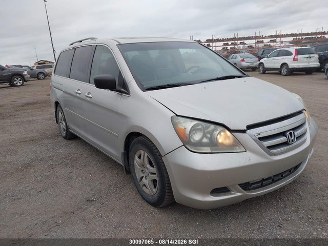2005 Honda Odyssey Exl მანქანა იყიდება აუქციონზე, vin: 5FNRL386X5B502631, აუქციონის ნომერი: 30097065