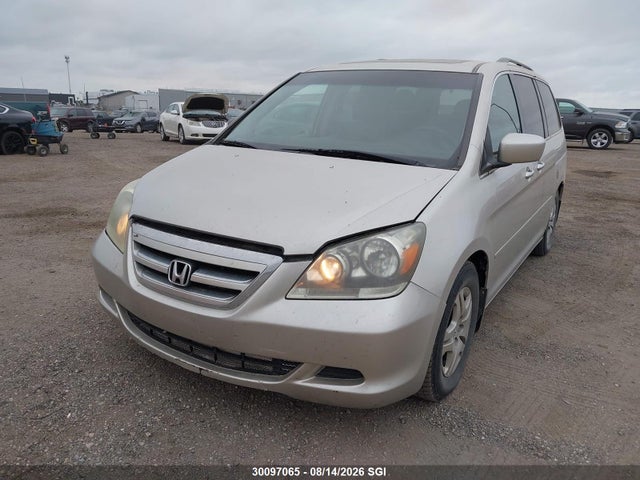 Продажа на аукционе авто 2005 Honda Odyssey Exl, vin: 5FNRL386X5B502631, номер лота: 30097065