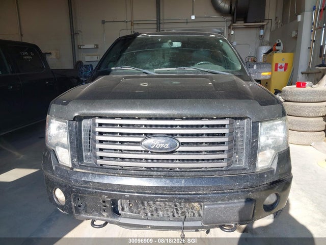 Продажа на аукционе авто 2011 Ford F150 Supercrew, vin: 1FTFW1ET0BFC61162, номер лота: 30096909