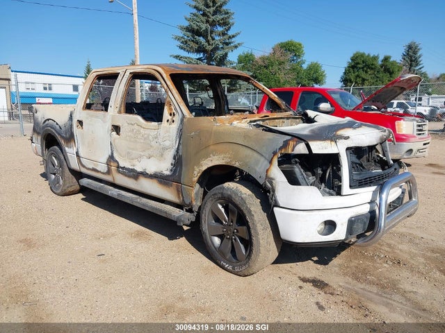 Продажа на аукционе авто 2013 Ford F150 Supercrew, vin: 1FTFW1ET4DKF56212, номер лота: 30094319
