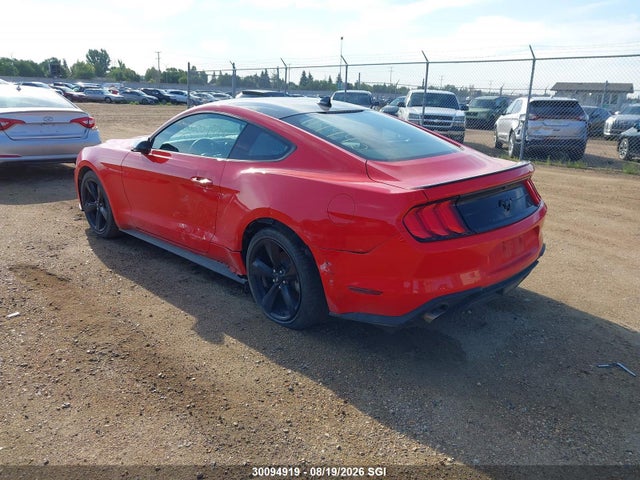 Ford Mustang 2022 1FA6P8TH6N5114445 Image 3