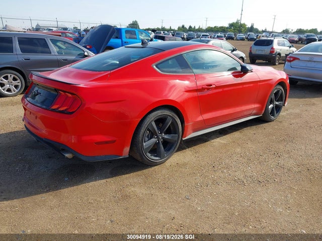 Ford Mustang 2022 1FA6P8TH6N5114445 Image 4