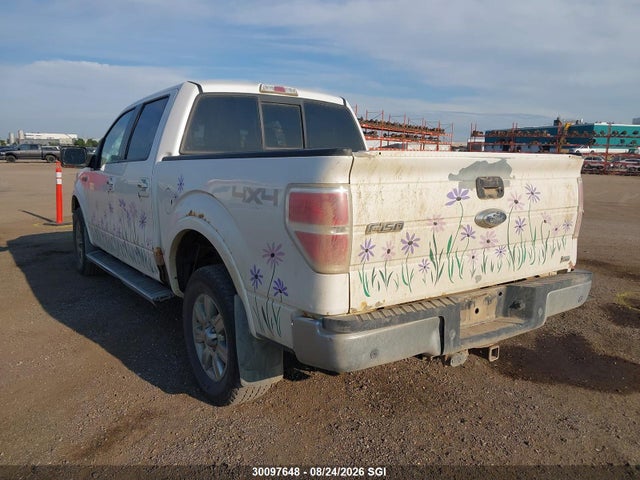 2010 Ford F150 Supercrew მანქანა იყიდება აუქციონზე, vin: 1FTFW1EV4AKA15738, აუქციონის ნომერი: 30097648