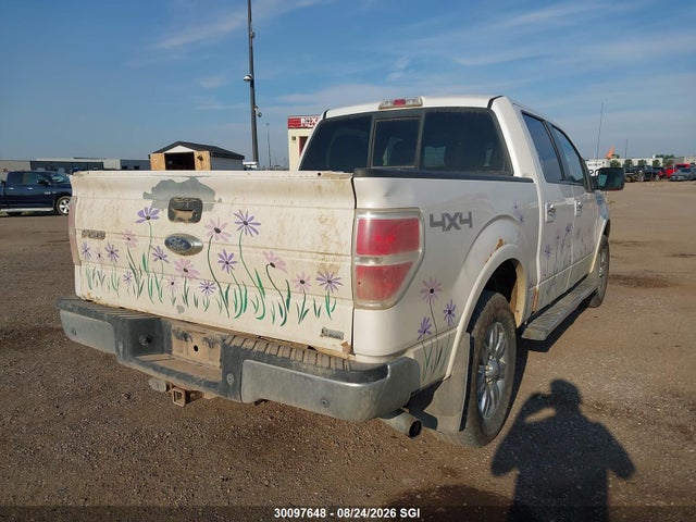2010 Ford F150 Supercrew მანქანა იყიდება აუქციონზე, vin: 1FTFW1EV4AKA15738, აუქციონის ნომერი: 30097648