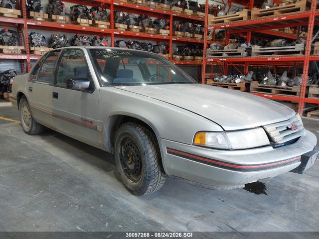 Продажа на аукционе авто 1991 Chevrolet Lumina Euro, vin: 2G1WN51T9M9262539, номер лота: 30097268