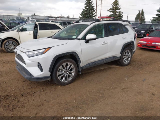 2T3R1RFV8RW434090 Toyota Rav4 Xle/xle Premium