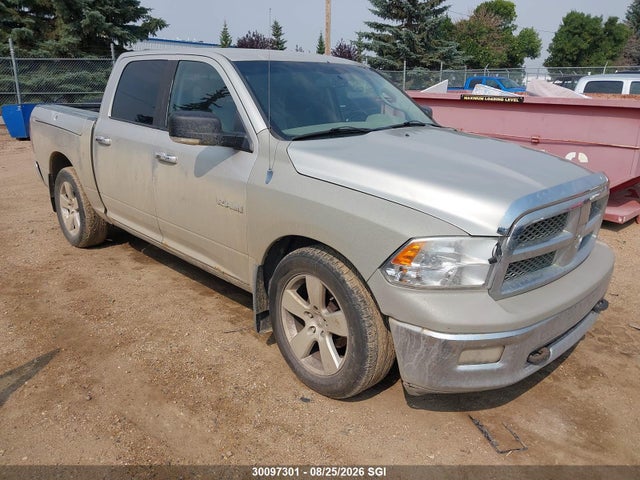 2009 Dodge Ram 1500 მანქანა იყიდება აუქციონზე, vin: 1D3HV13T09J530953, აუქციონის ნომერი: 30097301