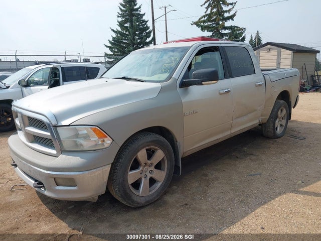 2009 Dodge Ram 1500 მანქანა იყიდება აუქციონზე, vin: 1D3HV13T09J530953, აუქციონის ნომერი: 30097301