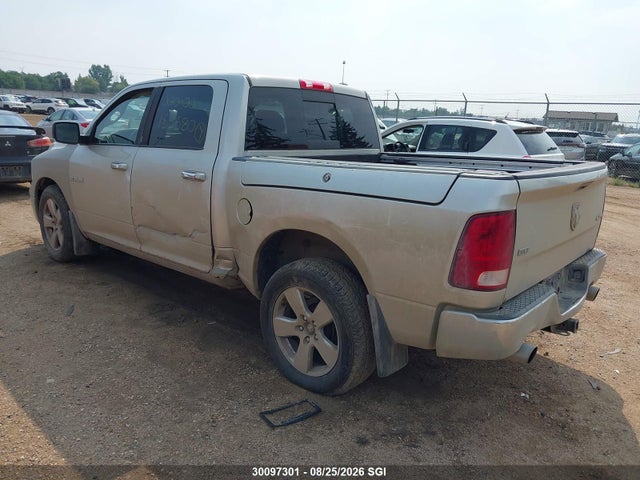 2009 Dodge Ram 1500 მანქანა იყიდება აუქციონზე, vin: 1D3HV13T09J530953, აუქციონის ნომერი: 30097301