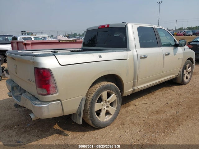 2009 Dodge Ram 1500 მანქანა იყიდება აუქციონზე, vin: 1D3HV13T09J530953, აუქციონის ნომერი: 30097301