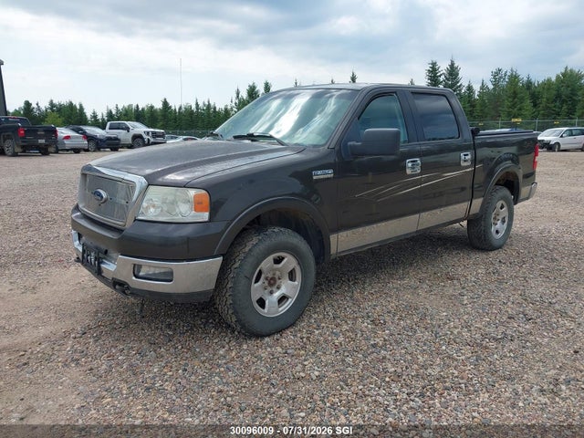 Продажа на аукционе авто 2005 Ford F150 Supercrew, vin: 1FTPW14575KD77106, номер лота: 30096009