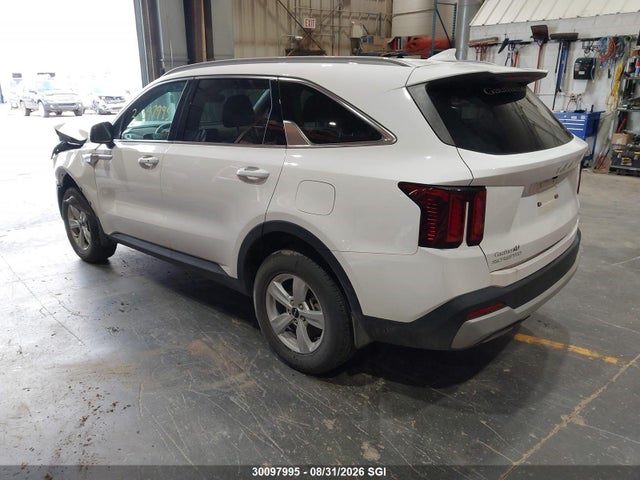 KIA SORENTO LX 2025 5XYRGDJC8SG371505 Image 3