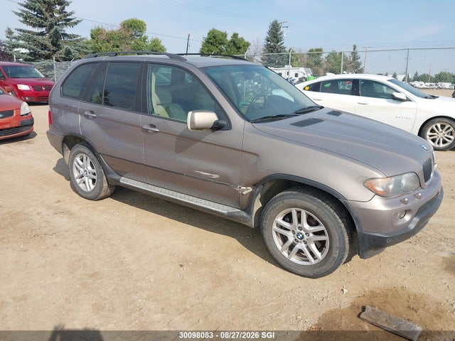 Продаж на аукціоні авто 2004 Bmw X5 3.0i, vin: 5UXFA13554LU21168, номер лоту: 30098083