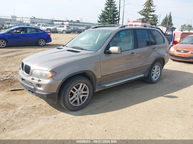Продаж на аукціоні авто 2004 Bmw X5 3.0i, vin: 5UXFA13554LU21168, номер лоту: 30098083