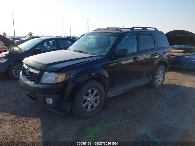 30098103 :رقم المزاد ، 4F2CZ96G89KM05665 vin ، 2009 Mazda Tribute S مزاد بيع