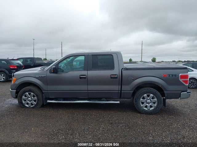 Ford F150 Supercrew 2014 1FTFW1EFXEFC02893 Image 13