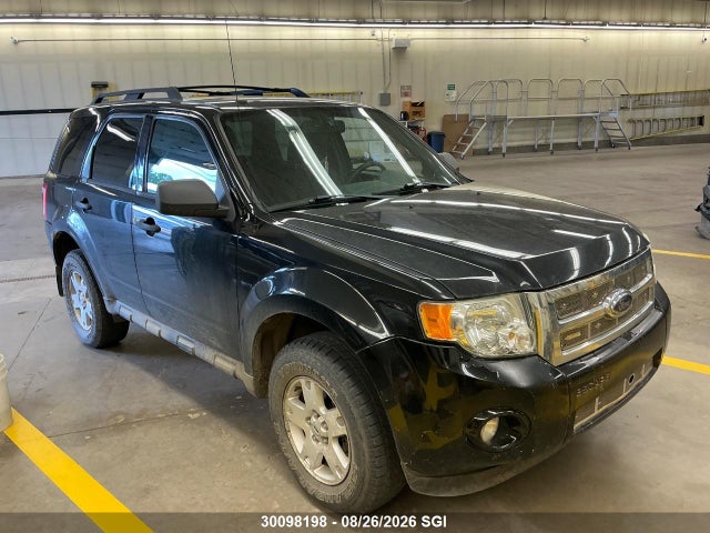 Продаж на аукціоні авто 2010 Ford Escape Xlt, vin: 1FMCU0D71AKA51081, номер лоту: 30098198