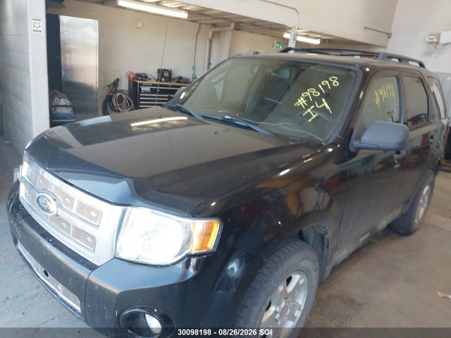 Продаж на аукціоні авто 2010 Ford Escape Xlt, vin: 1FMCU0D71AKA51081, номер лоту: 30098198