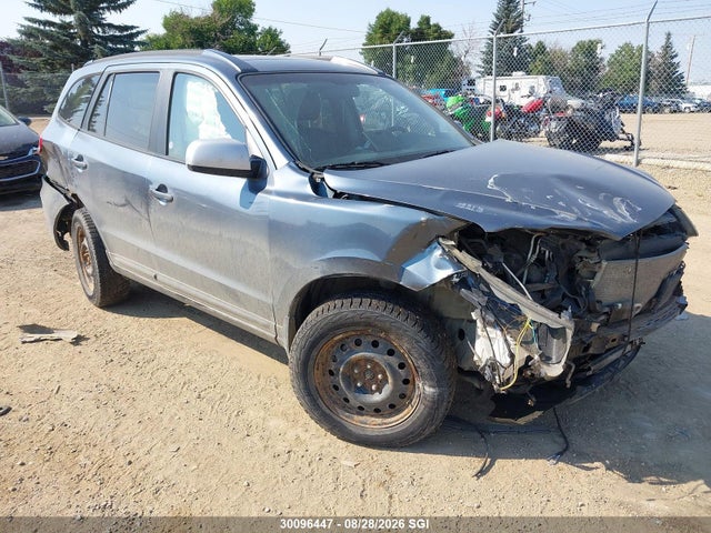 Продажа на аукционе авто 2009 Hyundai Santa Fe Gl, vin: 5NMSG13E09H285507, номер лота: 30096447