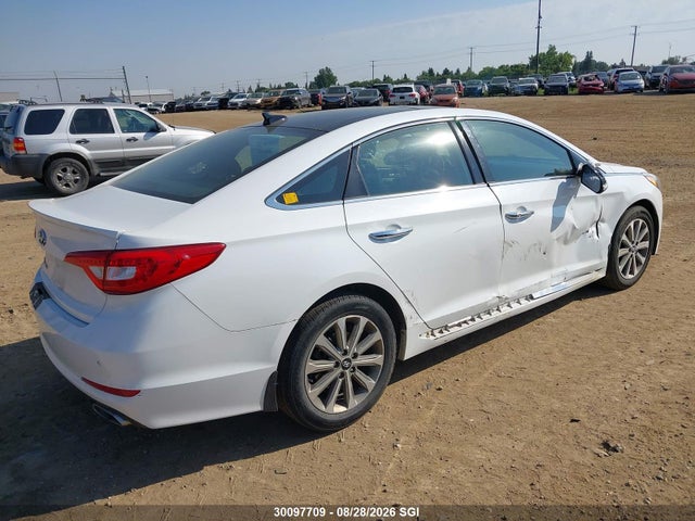 5NPE34AF0GH410480 Hyundai Sonata Sport/limited