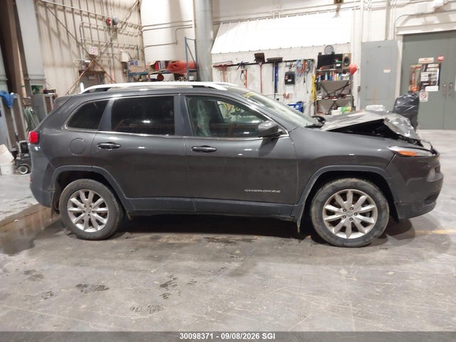 Jeep Cherokee Limited 2017 1C4PJMDSXHW555500 Image 13
