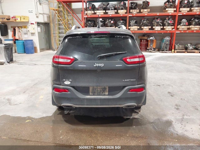 Jeep Cherokee Limited 2017 1C4PJMDSXHW555500 Image 16