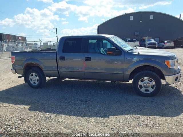 Продаж на аукціоні авто 2013 Ford F150 Supercrew, vin: 1FTFW1EF9DKE73420, номер лоту: 30098274