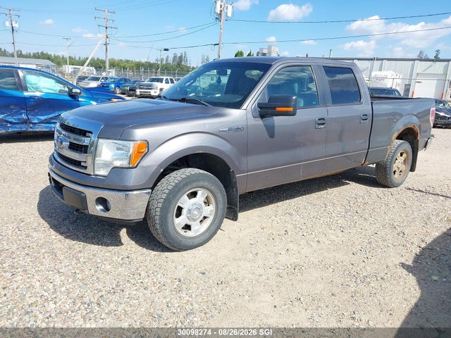 Продаж на аукціоні авто 2013 Ford F150 Supercrew, vin: 1FTFW1EF9DKE73420, номер лоту: 30098274